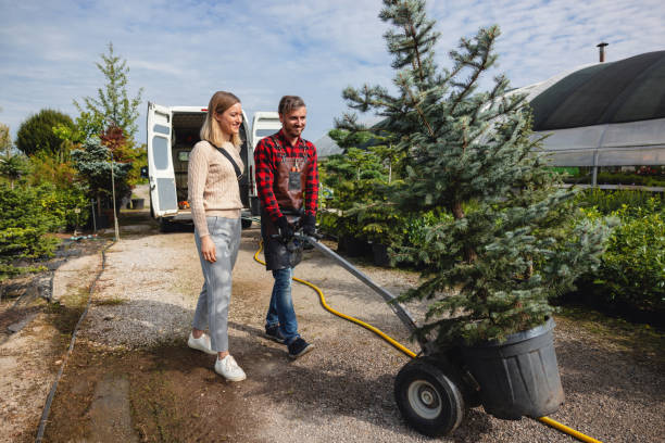 Best Emergency Tree Service  in Oil City, PA